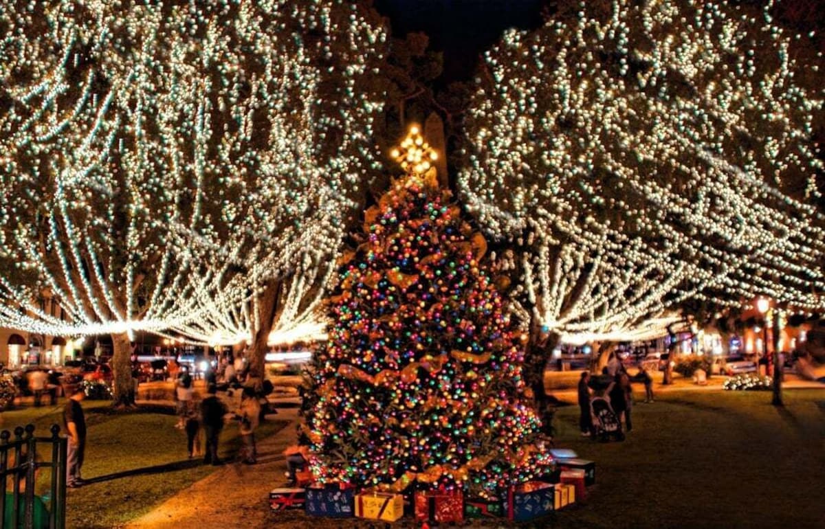 Photo 4 of Unbeatable Location! Night of Lights FREE Parking