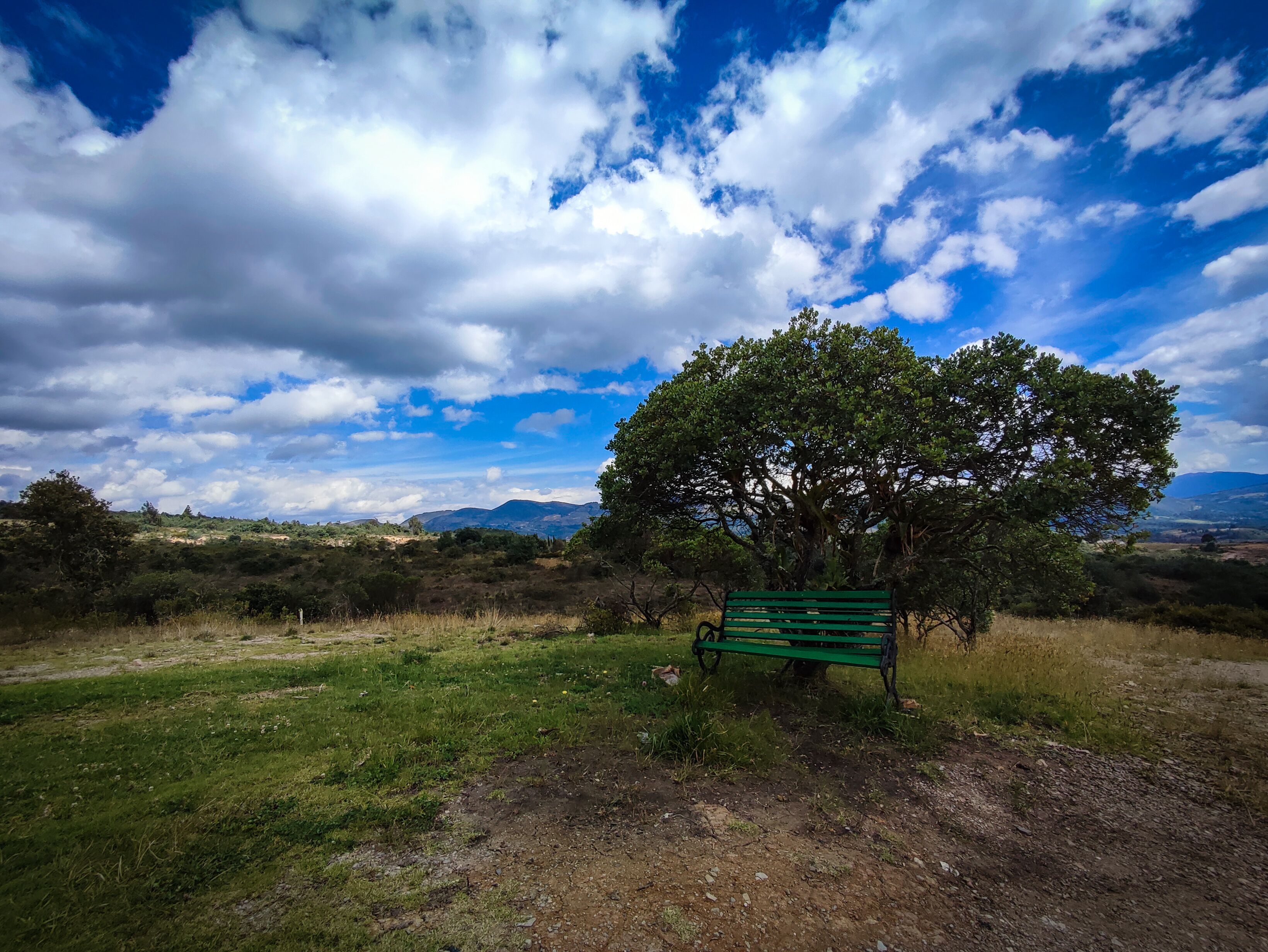 Un banc verd en un paisatge natural amb un arbre i un cel serè.
