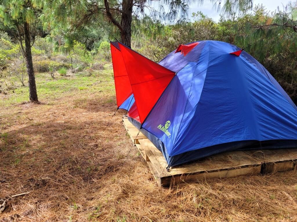 Una carpa azul y roja montada sobre una plataforma de madera en un área boscosa.
