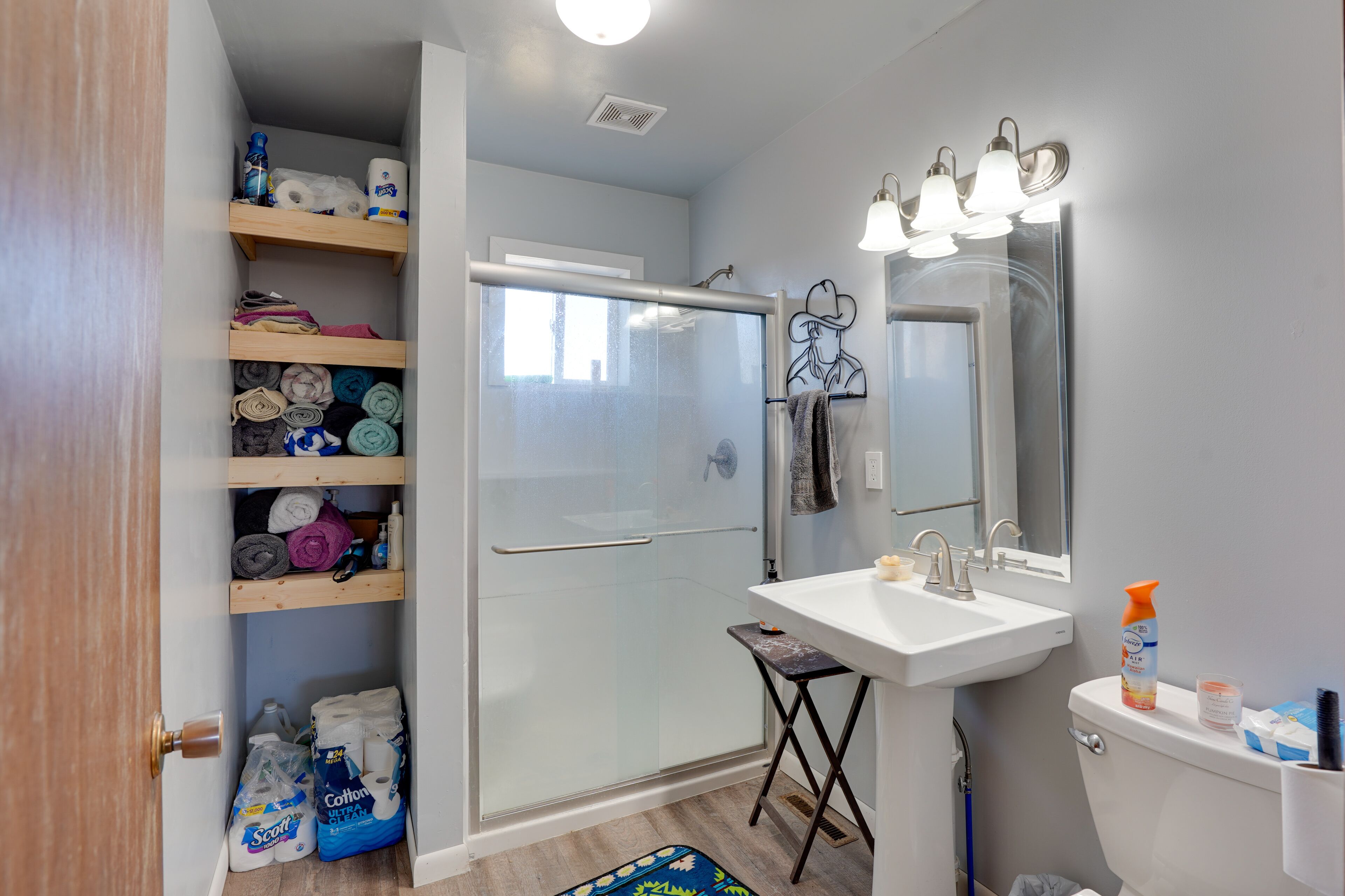 Hair dryer, towels, shampoo