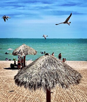 A beach with thatched umbrellas, people, and seagulls flying. - Pat's Landing Bungalow · Pat's Landing - Bungalow On The Canal (Rockport)