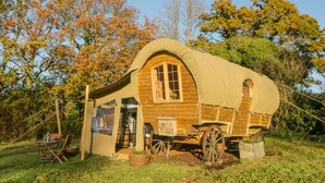 A wooden covered wagon with a large window and a door, surrounded by trees and grass.