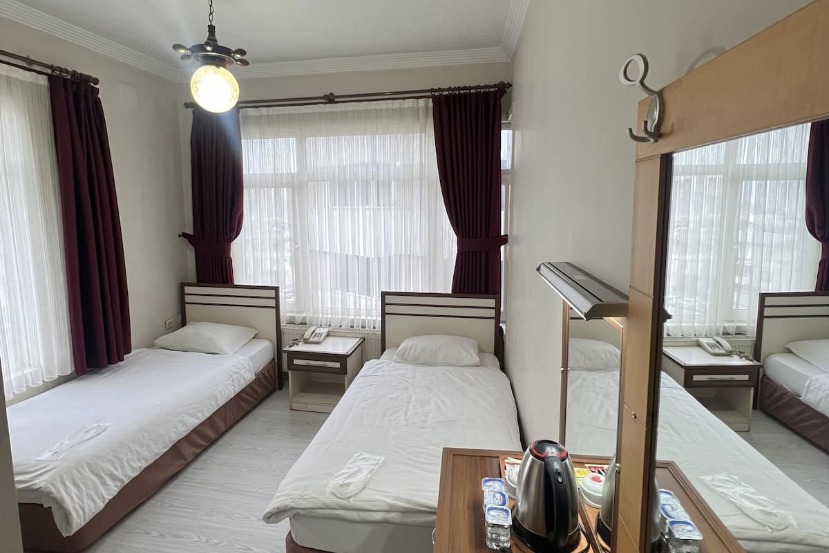 Habitación clásica con 2 camas individuales | Minibar, escritorio, espacio para trabajar con laptop y wifi gratis