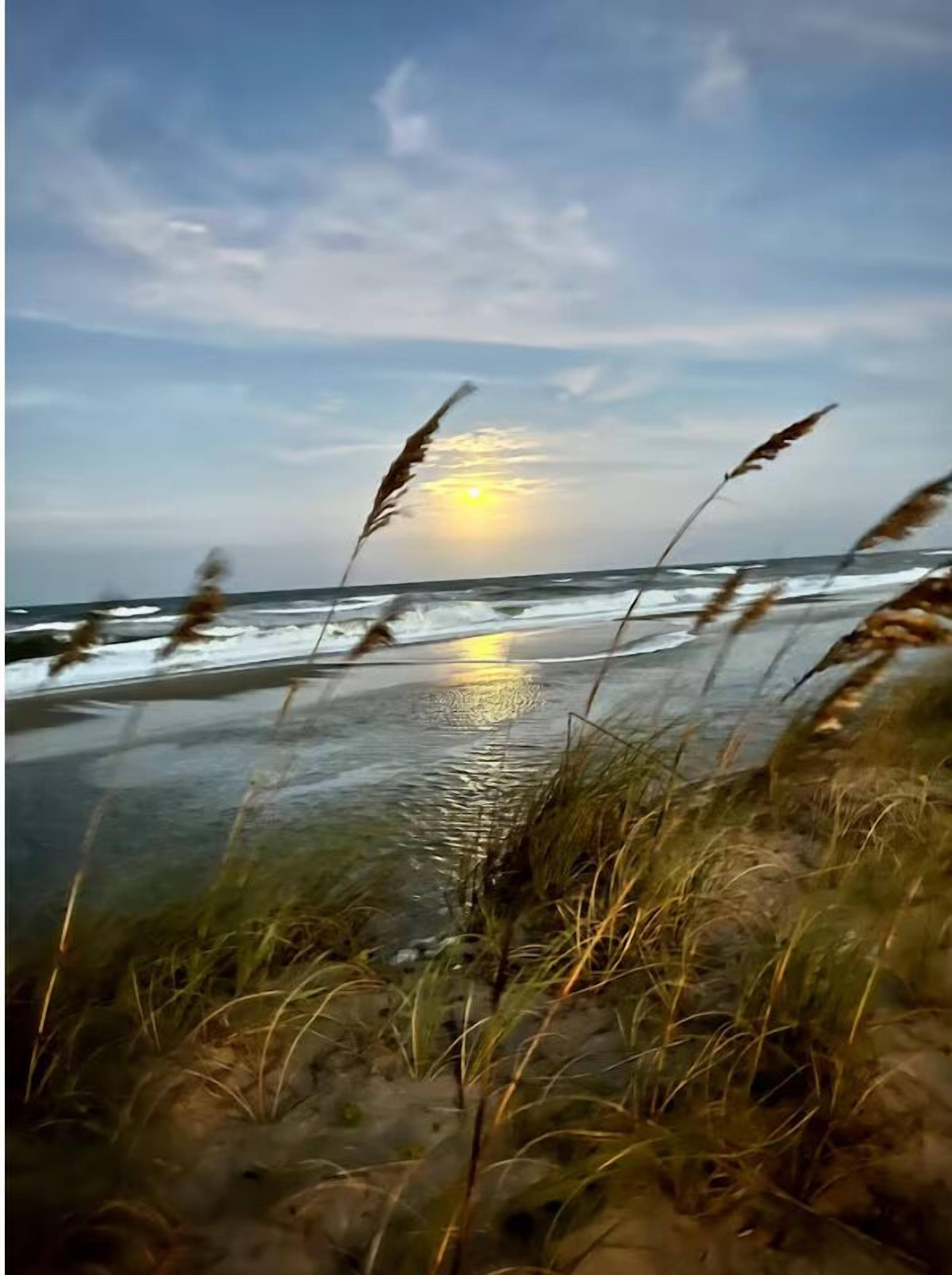 En la playa, camastros y toallas de playa 