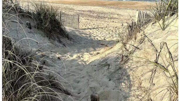 A sandy beach path leading to the ocean with a wooden fence and sparse vegetation. - Sand Life - Pelican's Southern Nest! - Pet Friendly! (Kill Devil Hills)