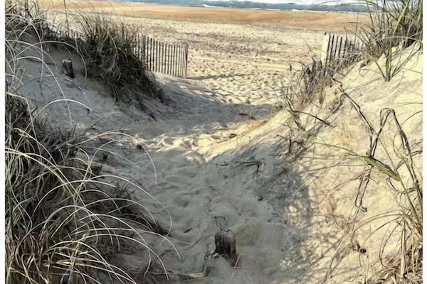 På stranden, solsenger og strandhåndklær