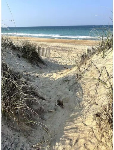 Sand Life - Pelican's Southern Nest! - Pet Friendly!