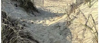Sand Life - Pelican's Southern Nest! - Pet Friendly!