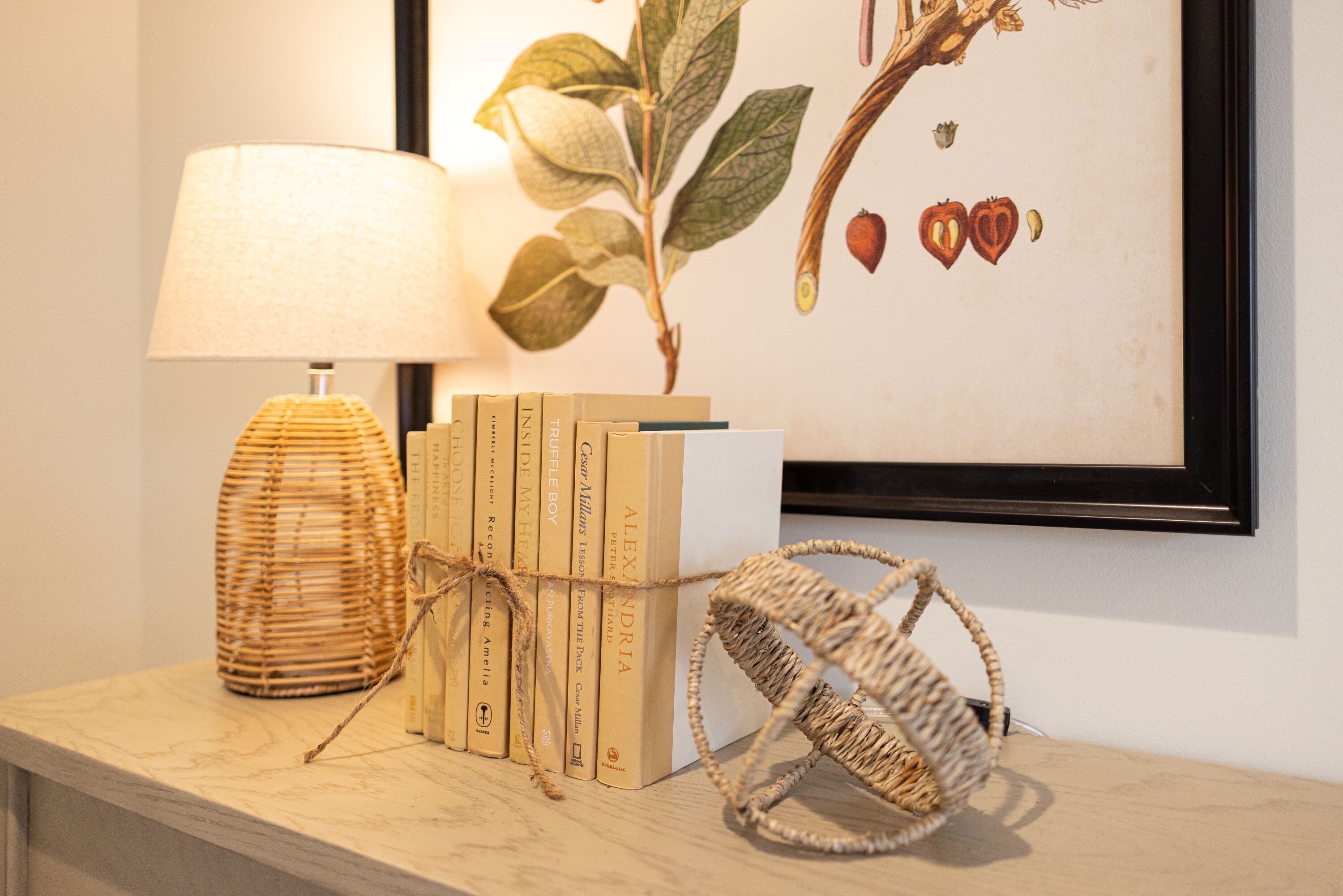 A bookshelf with books, a lamp, and a framed botanical illustration.