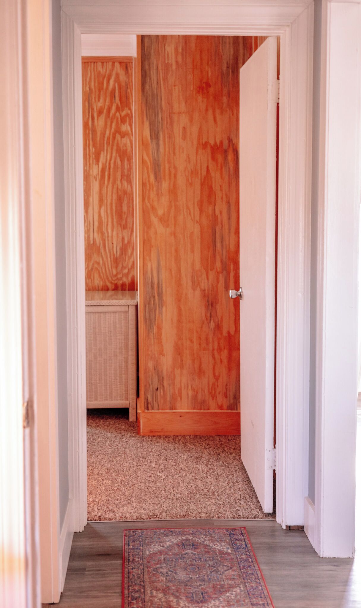 Een gang met een houten deur, een radiator en een kamerbreed tapijt.