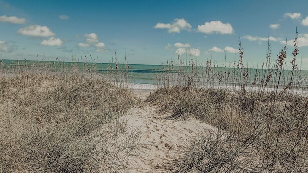 A sandy beach path leading to the ocean, surrounded by tall grasses.
