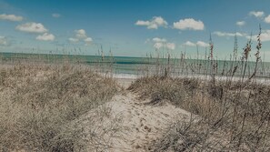 A sandy beach path leading to the ocean, surrounded by tall grasses.