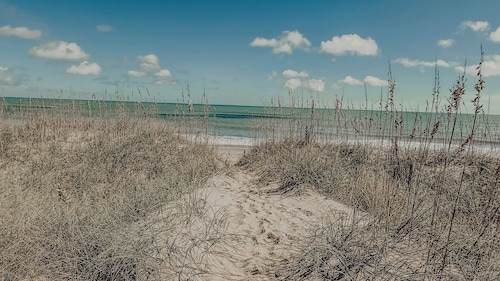 Sand Life - Pelican's Upper Deck!