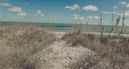 Sand Life - Pelican's Upper Deck!
