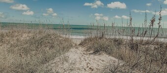 Sand Life - Pelican's Upper Deck!