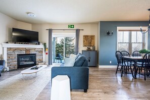 Smart TV, fireplace, books