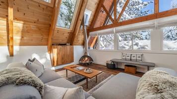 Smart TV, fireplace, books, music library