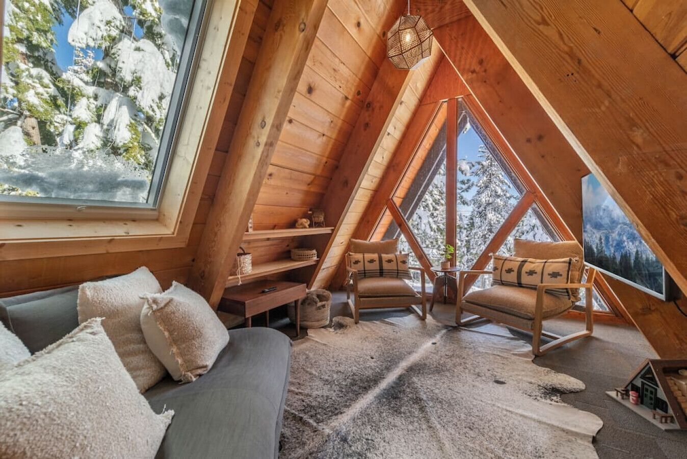 Smart TV, fireplace, books, music library