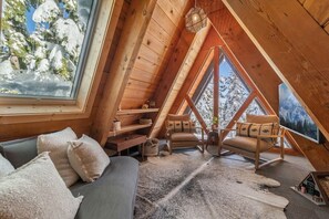 Smart TV, fireplace, books