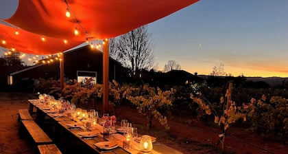 Experience Limerick Lane Cellars at our Vineyard Farmstay Retreat in Healdsburg