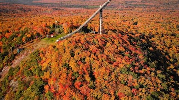 Site dâintĂ©rĂȘt