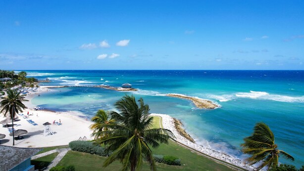 A beach resort with a clear view of the ocean, palm trees, and a sandy beach.