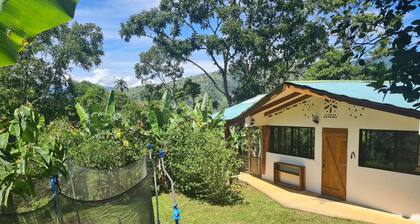 Spacious house on a family run animal and horse farm