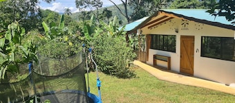 Spacious house on a family run animal and horse farm
