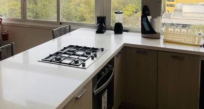 The Carso Alameda Premium Lofts