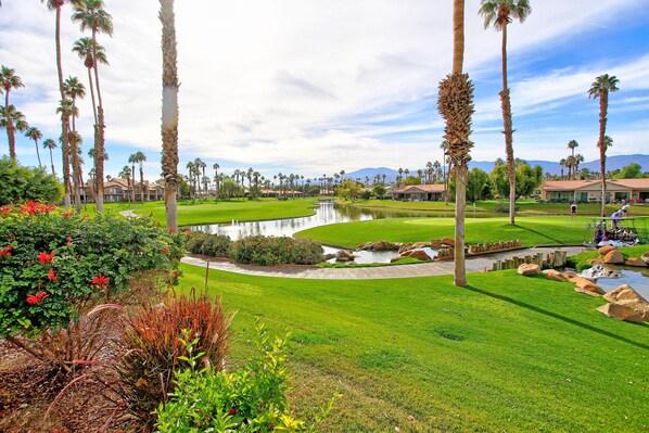 Byhus - flere senge (VV885 - Palm Valley CC) | Overnatningsstedets område