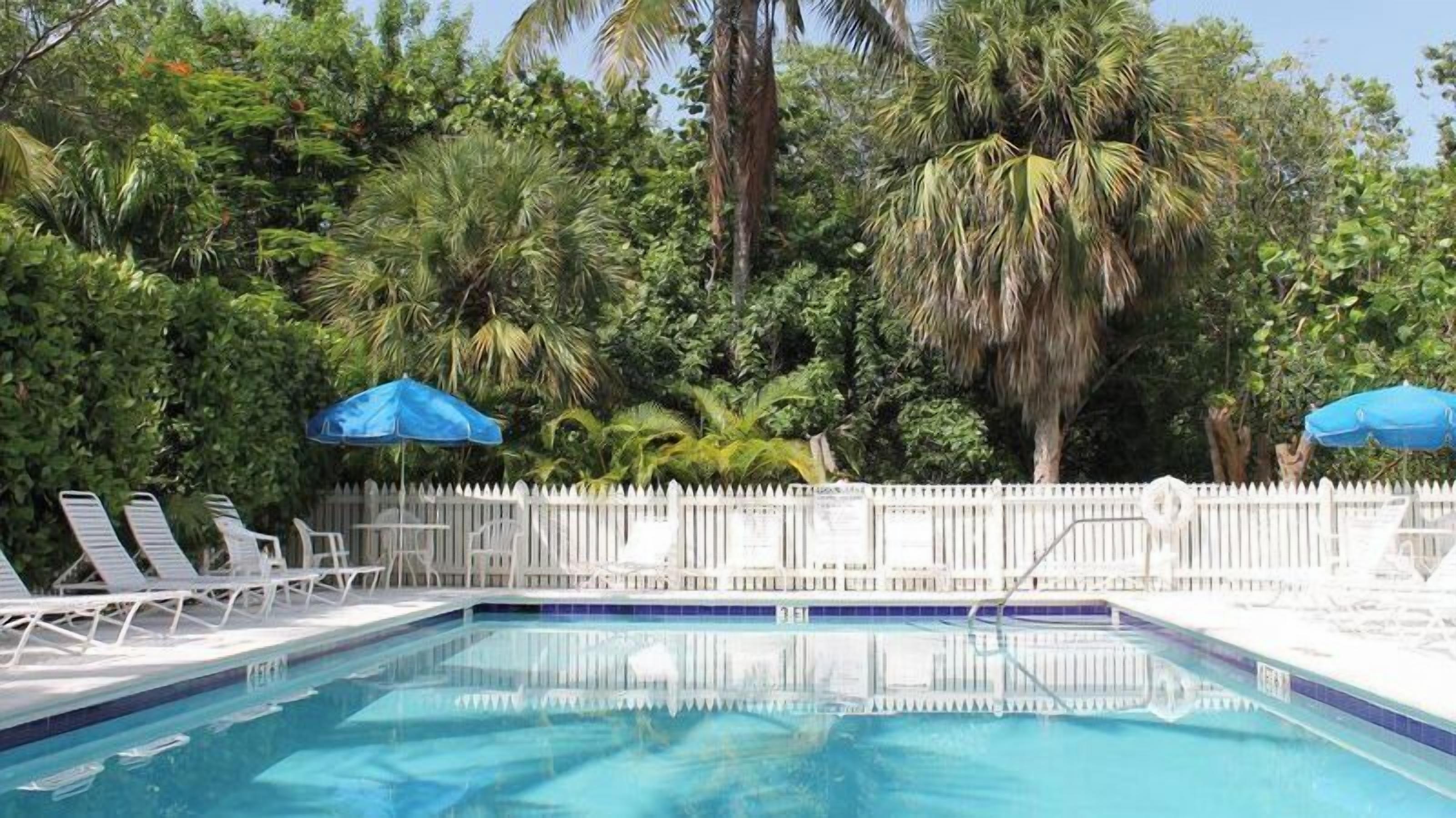 A swimming pool with lounge chairs and umbrellas, surrounded by a white fence and lush greenery.