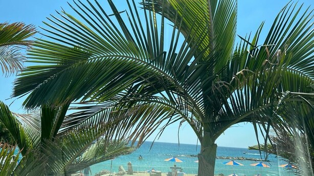A beach with palm trees, umbrellas, and a clear view of the ocean. - Pathos Penthouse A Slice of Paradise (Geroskipou)