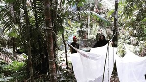 A hammock suspended between trees in a dense forest. - Authentic Amazon | Indigenous Lodging and Jungle Tours (Loreto Mocagua)
