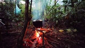 A pot over an open fire in a forested area.