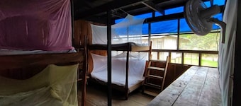 Authentic Amazon | Indigenous Lodging and Jungle Tours