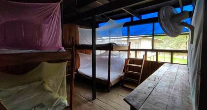 Authentic Amazon | Indigenous Lodging and Jungle Tours