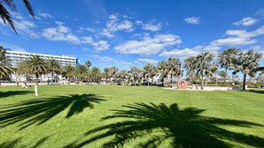 A well-maintained grassy park with palm trees and a clear blue sky. - Clearwater Beach, Your Dream Vacation, Condo (Clearwater)