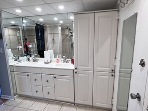 Regadera, secadora de cabello, toallas, papel de baño 