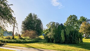 Zona verde y cuidada con un sendero de tierra, rodeada de diversos árboles y arbustos.