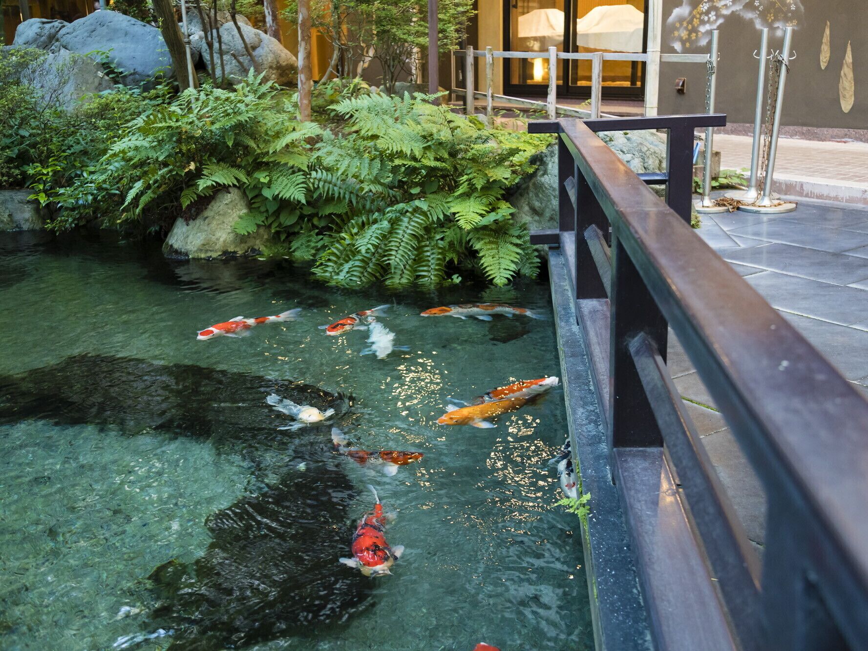 A koi pond with several fish, surrounded by rocks and greenery.