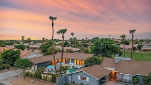 A residential area with houses, palm trees, and a swimming pool.