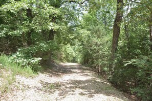 A forested path with dense trees and underbrush. - Mountain Getaway - So Close to SDC -2 Outdoor Pools - Hiking (Branson West)