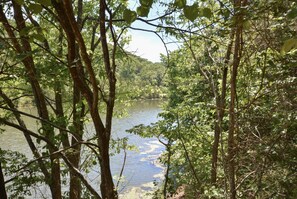 A forested area with a body of water surrounded by trees. - Mountain Getaway - So Close to SDC -2 Outdoor Pools - Hiking (Branson West)