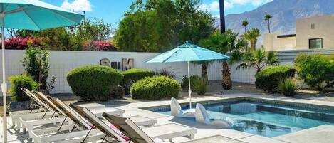 A pool area with lounge chairs, umbrellas, and well-maintained landscaping.