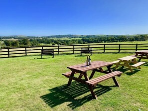 Outdoor dining - The Cote, Little Upton Farm (Ashey)