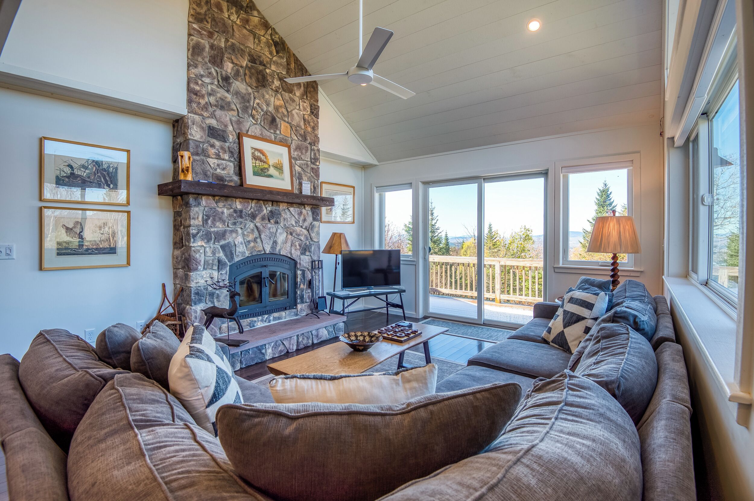 TV, fireplace, books
