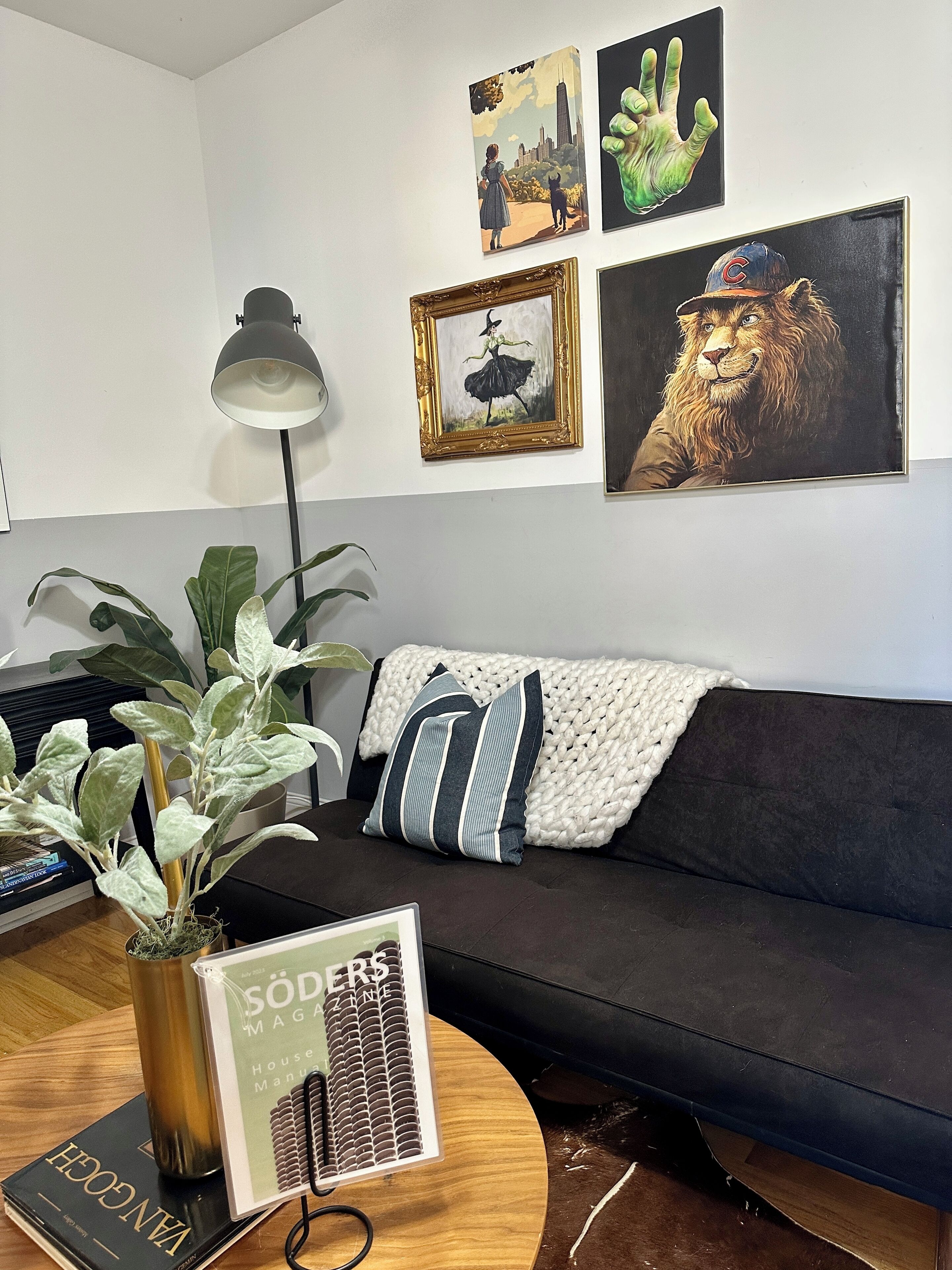 Smart TV, DVD player, books