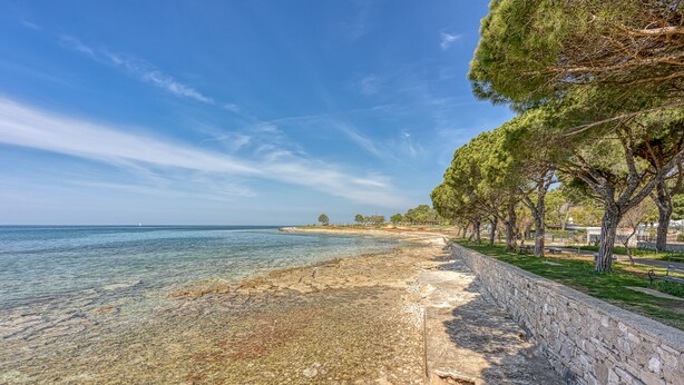 A coastal walkway with a stone wall, clear shallow waters, and trees lining the path. - Sea Breeze Residence Mariella, Umag, Croatia (Umag)