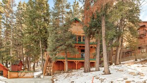 Een houten lodge, meerdere verdiepingen, omgeven door bos.