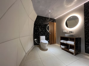 Shower, hair dryer, towels